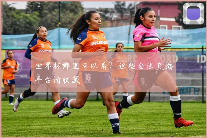 世界杯哪里可以看？这些合法直播平台请收藏