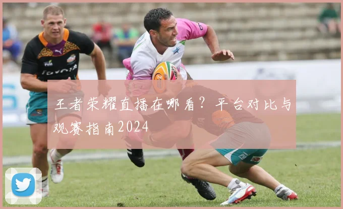 王者荣耀直播在哪看？平台对比与观赛指南2024