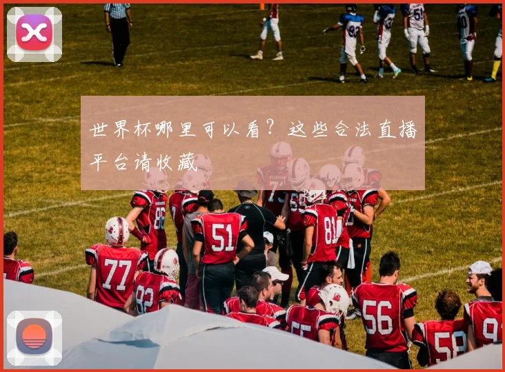 世界杯哪里可以看？这些合法直播平台请收藏